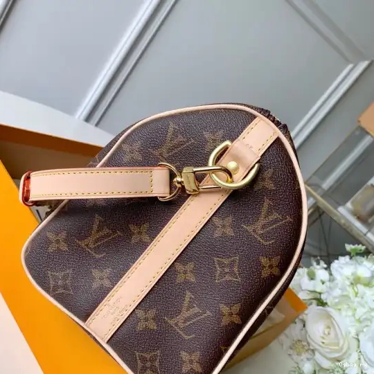 Vuitton SPEEDY BANDOULIERE 25 Louis 0509